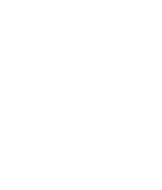 Hire Magento Developer