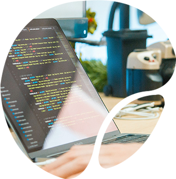 Magento Web Development