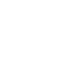 Magento Web Development