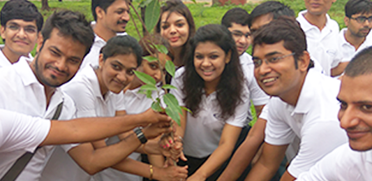 Plantation - Logicspice