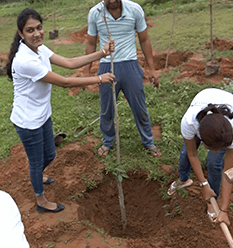 social Events - Logicspice