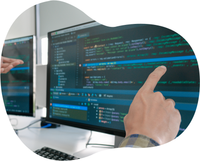 Custom Wordpress Development