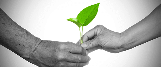 connected socially - Logicspice