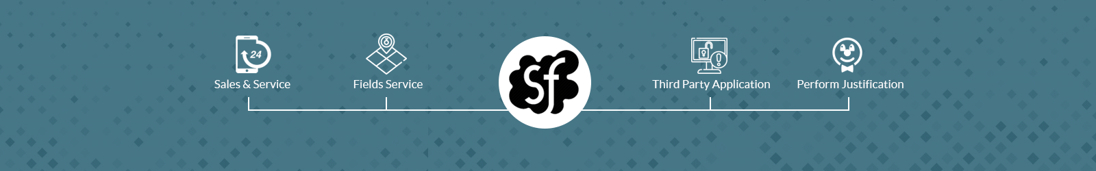 Professional SalesForce Platform Development Services