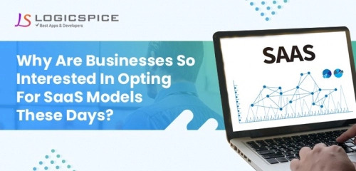 Why Are Businesses So Interested In Opting For SaaS Models These Days?