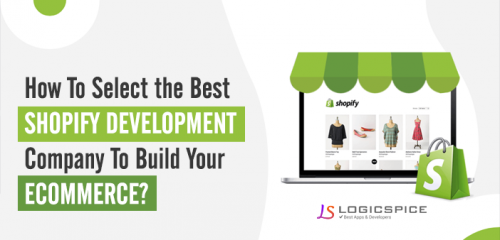 How To Select the Best Shopify Development Company To Build Your Ecommerce?