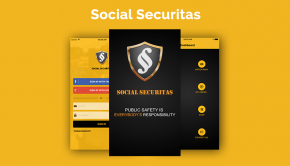 Social Securitas -logicspice