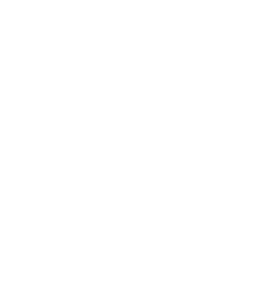 Angular Web Development Services